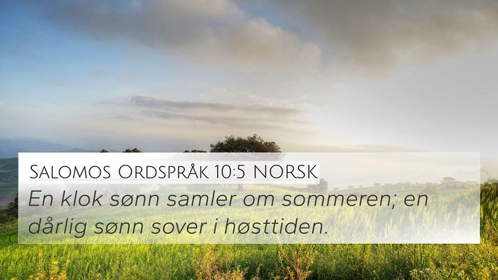 Salomos Ordspråk 10:5 NORSK Bible Verse Image
