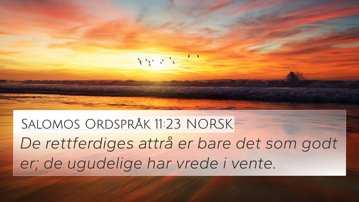 Salomos Ordspråk 11:23 NORSK Bible Verse Image