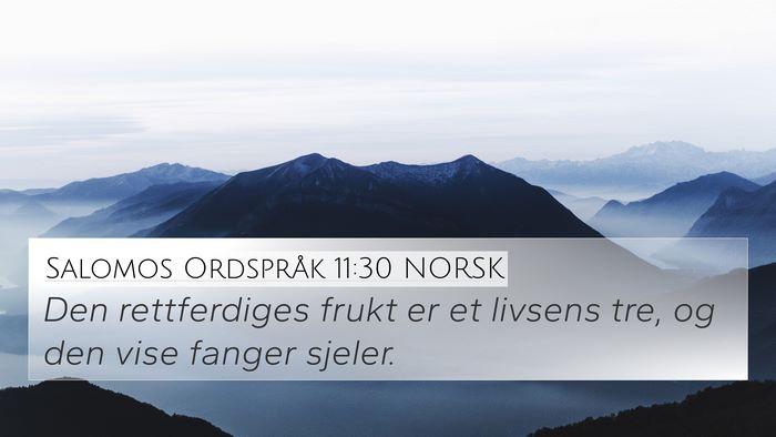 Salomos Ordspråk 11:30 NORSK Bible Verse Image
