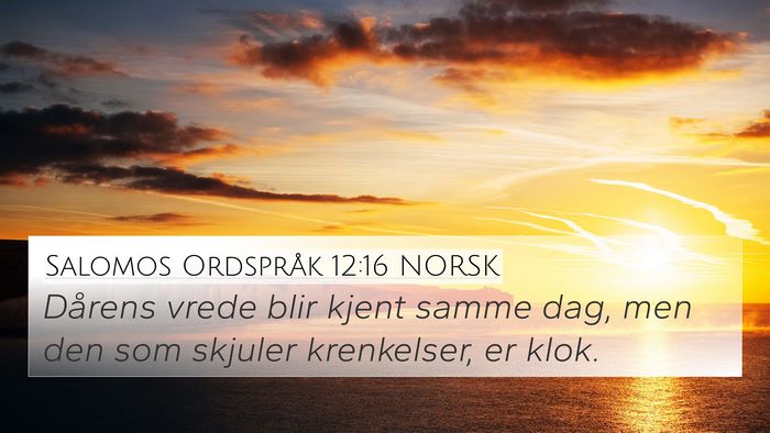 Salomos Ordspråk 12:16 NORSK Bible Verse Image
