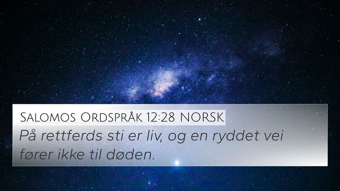Salomos Ordspråk 12:28 NORSK Bible Verse Image