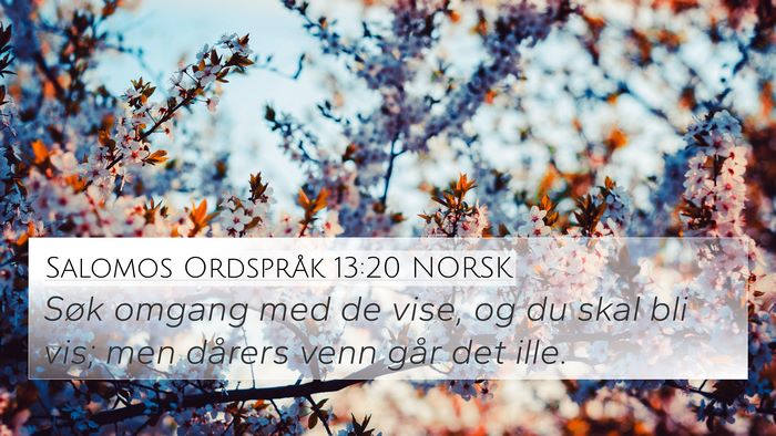 Salomos Ordspråk 13:20 NORSK Bible Verse Image