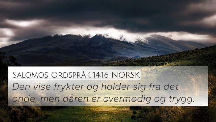 Salomos Ordspråk 14:16 NORSK Bible Verse Image