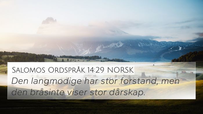 Salomos Ordspråk 14:29 NORSK Bible Verse Image