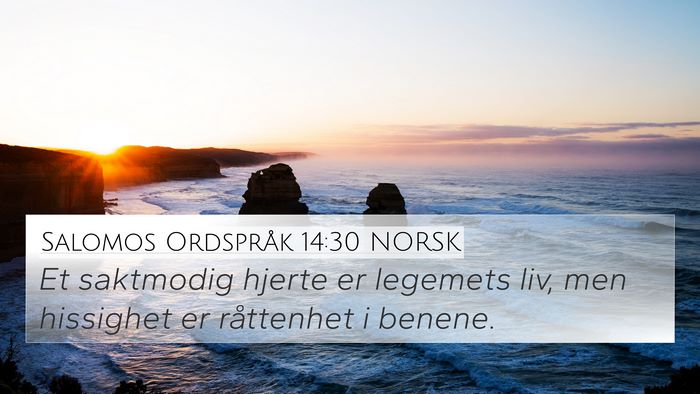 Salomos Ordspråk 14:30 NORSK Bible Verse Image