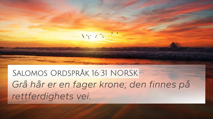 Salomos Ordspråk 16:31 NORSK Bible Verse Image