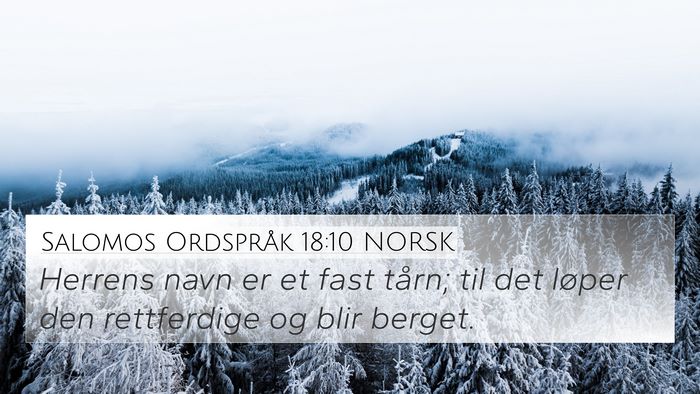 Salomos Ordspråk 18:10 NORSK Bible Verse Image