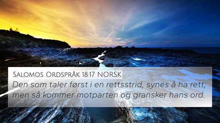 Salomos Ordspråk 18:17 NORSK Bible Verse Image