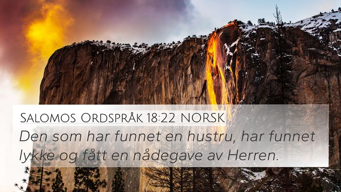 Salomos Ordspråk 18:22 NORSK Bible Verse Image