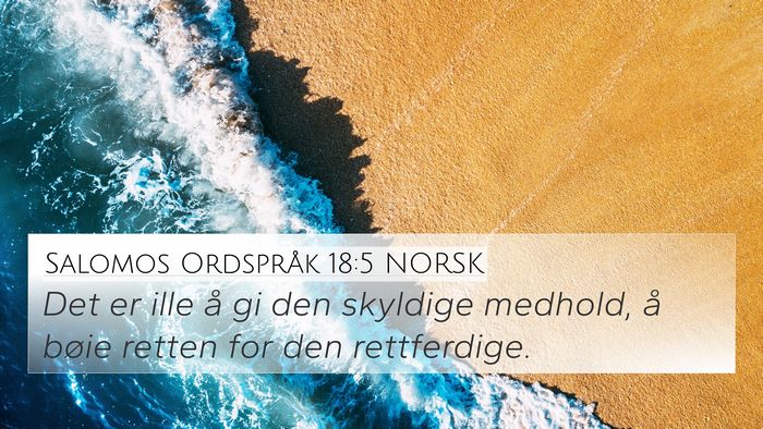 Salomos Ordspråk 18:5 NORSK Bible Verse Image