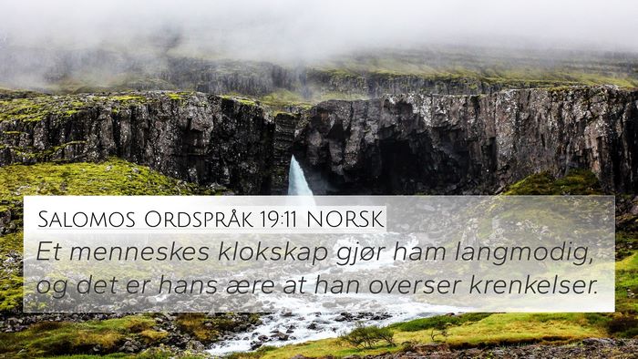 Salomos Ordspråk 19:11 NORSK 4K Wallpaper - Et menneskes klokskap gjør ham langmodig, og det - 4K Wallpaper Bible Verse