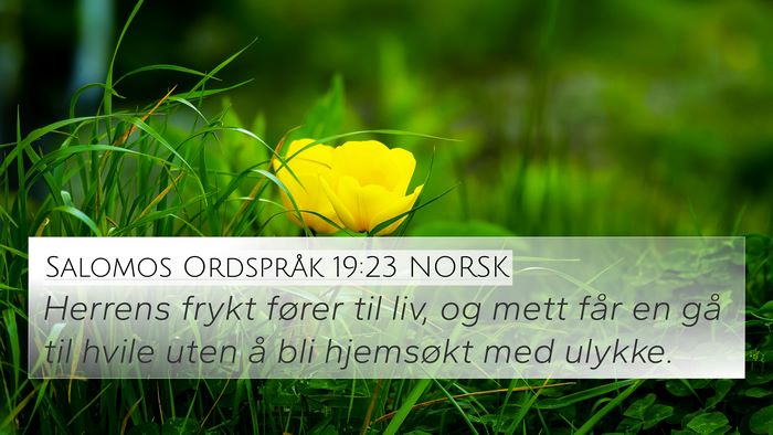 Salomos Ordspråk 19:23 NORSK 4K Wallpaper - Herrens frykt fører til liv, og mett får en gå - 4K Wallpaper Bible Verse