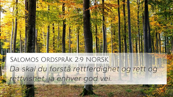 Salomos Ordspråk 2:9 NORSK Bible Verse Image