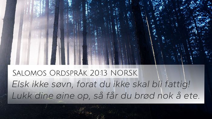 Salomos Ordspråk 20:13 NORSK Bible Verse Image