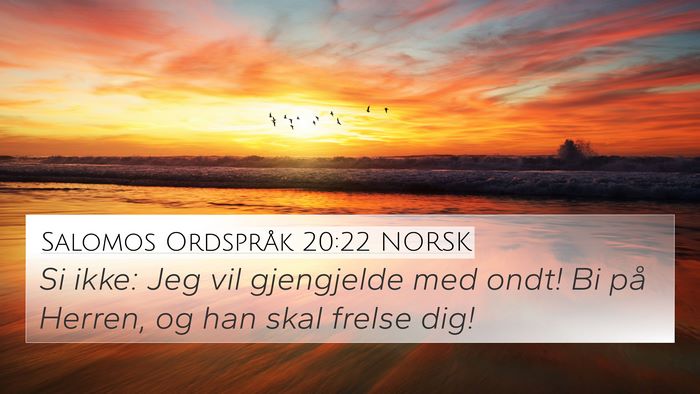 Salomos Ordspråk 20:22 NORSK Bible Verse Image