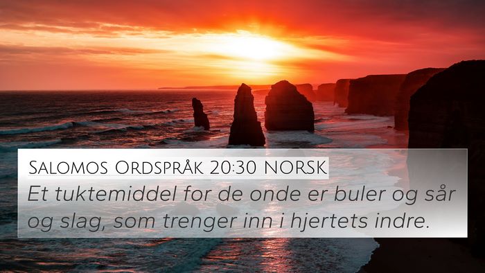 Salomos Ordspråk 20:30 NORSK Bible Verse Image