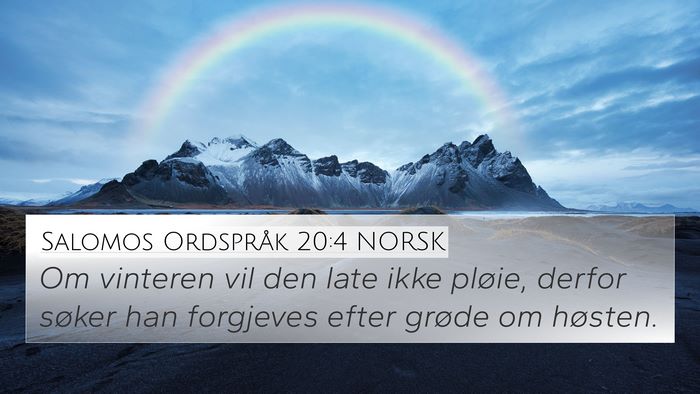 Salomos Ordspråk 20:4 NORSK Bible Verse Image