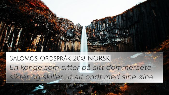 Salomos Ordspråk 20:8 NORSK Bible Verse Image