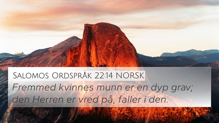 Salomos Ordspråk 22:14 NORSK Bible Verse Image