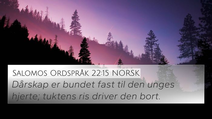 Salomos Ordspråk 22:15 NORSK Bible Verse Image
