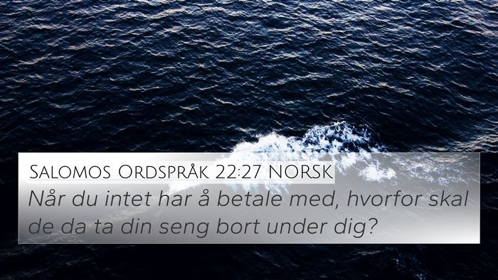 Salomos Ordspråk 22:27 NORSK Bible Verse Image