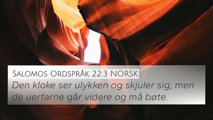 Salomos Ordspråk 22:3 NORSK Bible Verse Image