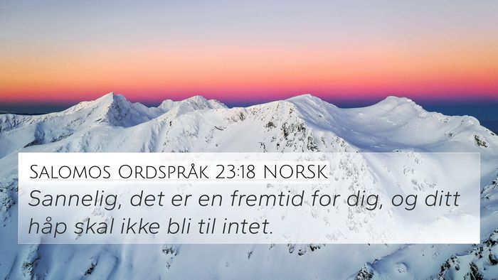 Salomos Ordspråk 23:18 NORSK Bible Verse Image