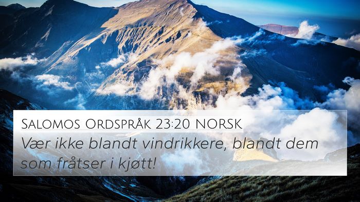 Salomos Ordspråk 23:20 NORSK Bible Verse Image