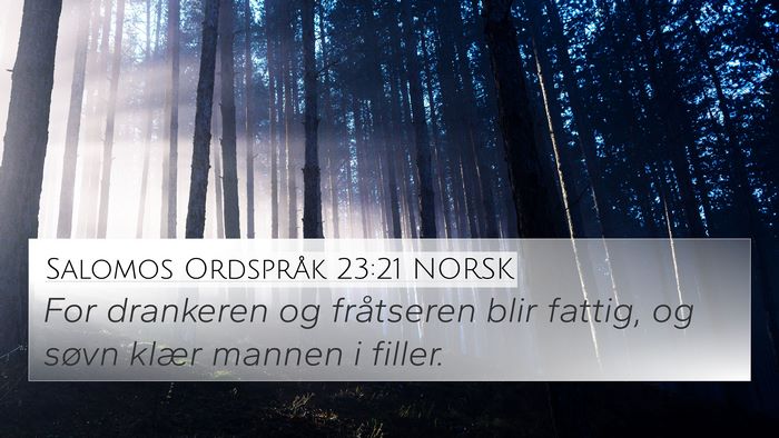 Salomos Ordspråk 23:21 NORSK Bible Verse Image