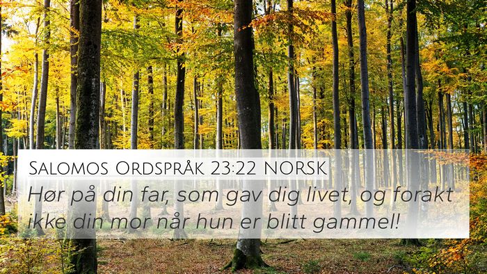 Salomos Ordspråk 23:22 NORSK Bible Verse Image