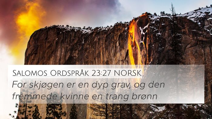 Salomos Ordspråk 23:27 NORSK Bible Verse Image