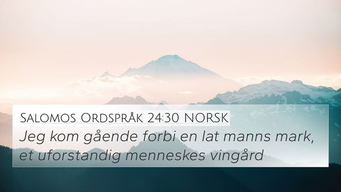 Salomos Ordspråk 24:30 NORSK Bible Verse Image