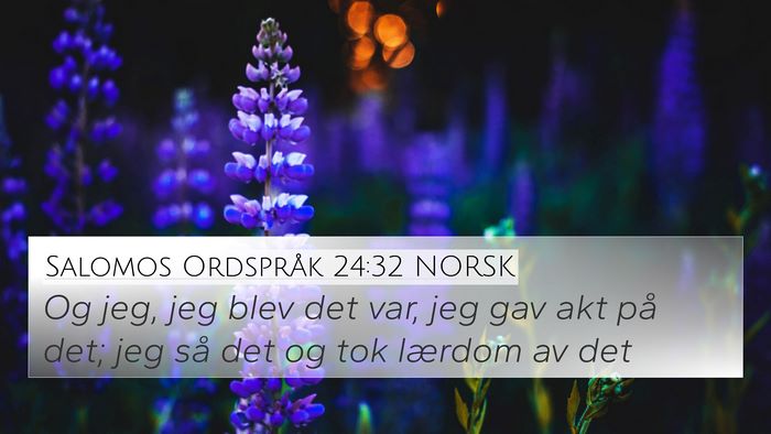 Salomos Ordspråk 24:32 NORSK Bible Verse Image