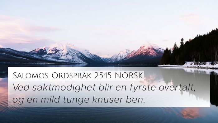 Salomos Ordspråk 25:15 NORSK Bible Verse Image