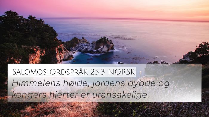 Salomos Ordspråk 25:3 NORSK Bible Verse Image