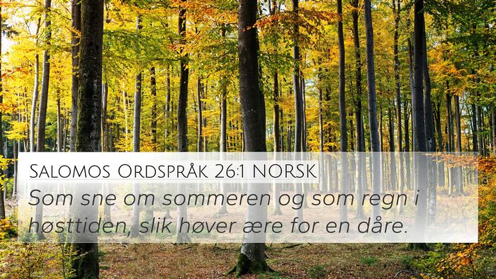 Salomos Ordspråk 26:1 NORSK Bible Verse Image