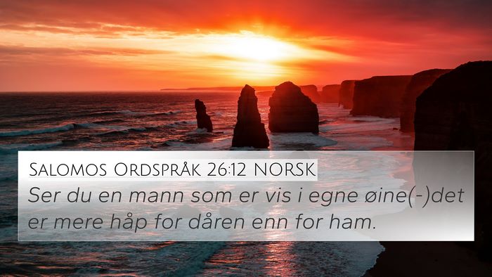 Salomos Ordspråk 26:12 NORSK Bible Verse Image