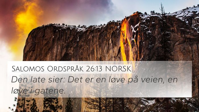 Salomos Ordspråk 26:13 NORSK Bible Verse Image