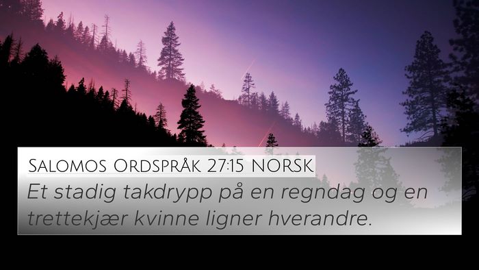 Salomos Ordspråk 27:15 NORSK Bible Verse Image