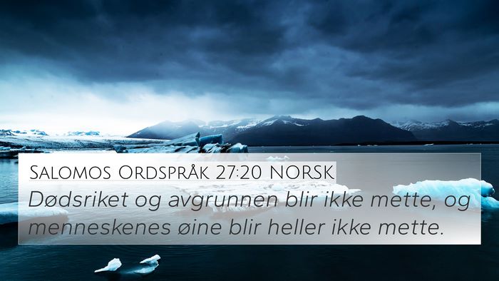 Salomos Ordspråk 27:20 NORSK Bible Verse Image