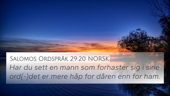 Salomos Ordspråk 29:20 NORSK Bible Verse Image