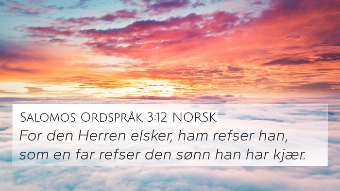 Salomos Ordspråk 3:12 NORSK Bible Verse Image