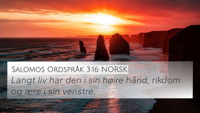 Salomos Ordspråk 3:16 NORSK Bible Verse Image