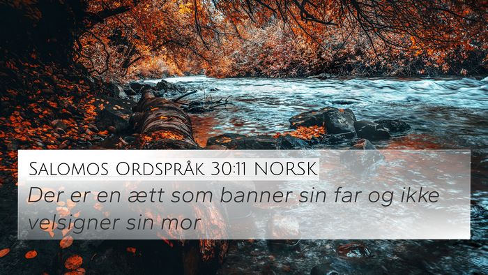 Salomos Ordspråk 30:11 NORSK Bible Verse Image