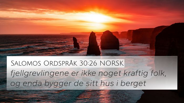 Salomos Ordspråk 30:26 NORSK Bible Verse Image