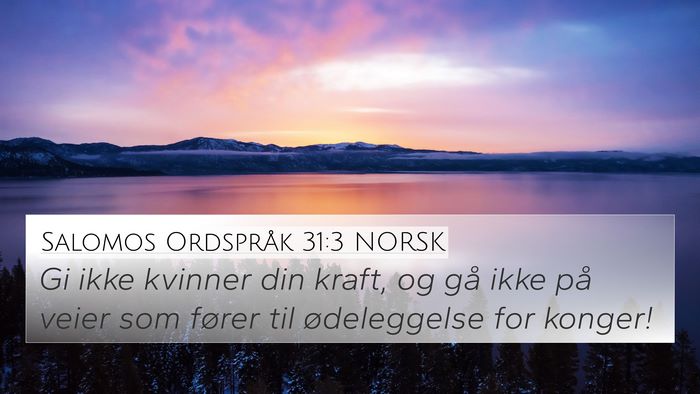 Salomos Ordspråk 31:3 NORSK Bible Verse Image
