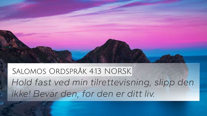 Salomos Ordspråk 4:13 NORSK 4K Wallpaper - Hold fast ved min tilrettevisning, slipp den - 4K Wallpaper Bible Verse