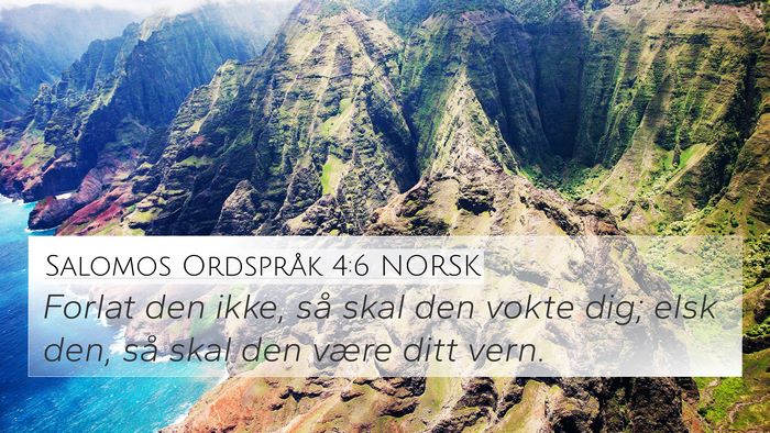 Salomos Ordspråk 4:6 NORSK Bible Verse Image
