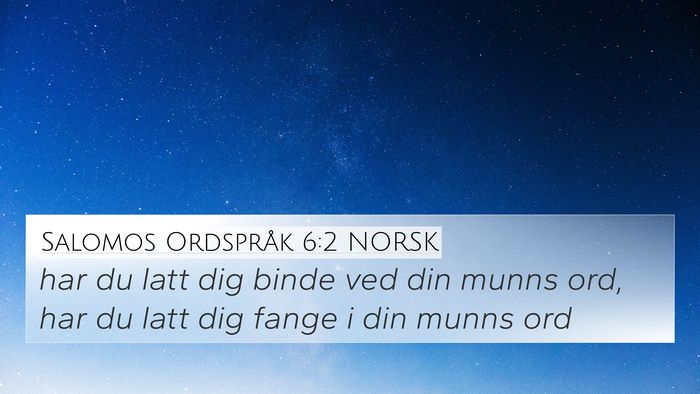 Salomos Ordspråk 6:2 NORSK Bible Verse Image