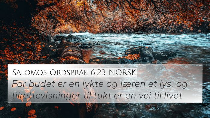 Salomos Ordspråk 6:23 NORSK Bible Verse Image